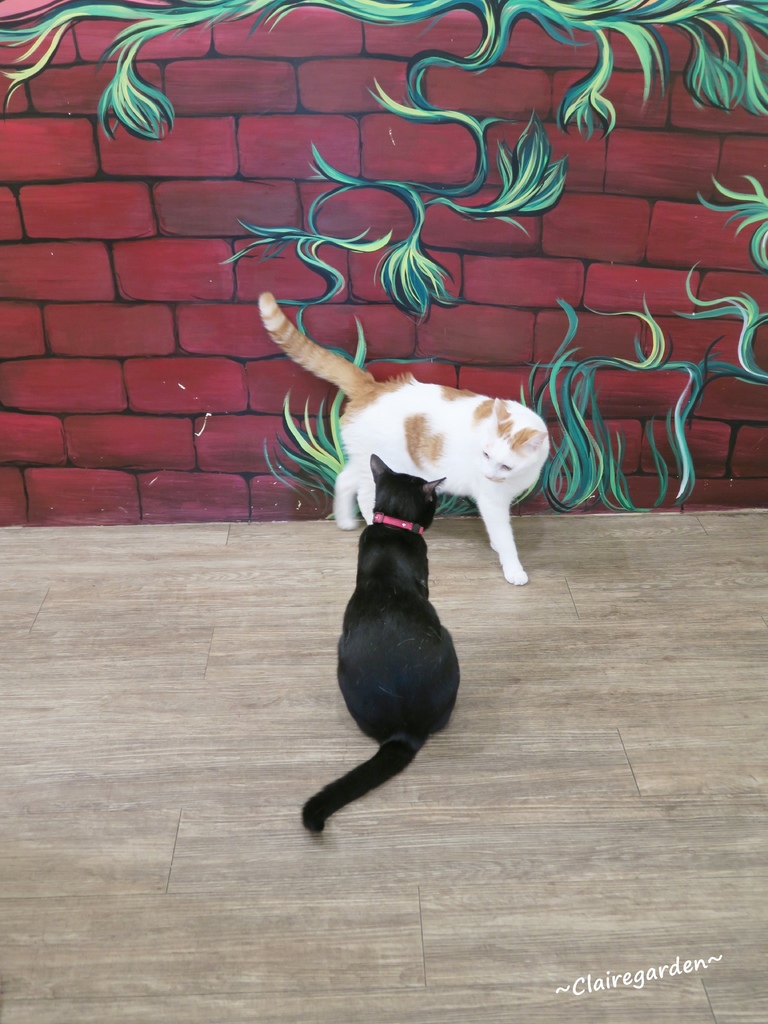 IMG_1961.JPG IMG_1961.JPG