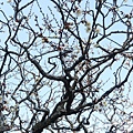 IMG_4454.JPG