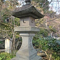 IMG_4456.JPG