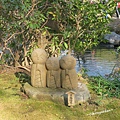 IMG_4458.JPG