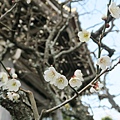 IMG_4496.JPG
