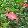 IMG_3224.JPG