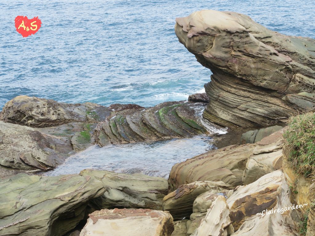 南雅奇石,台灣36奇景,海蝕美景,竹筍岩石,石梯坪,地質造型,新北瑞芳,新北,瑞芳