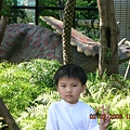 DSCN0433