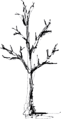 tree09.gif