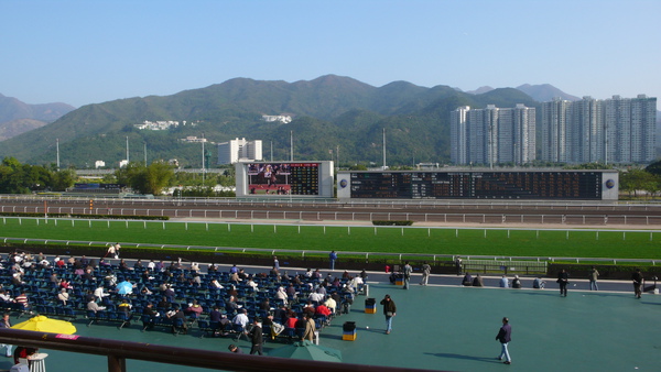 空曠遼闊的沙田馬場