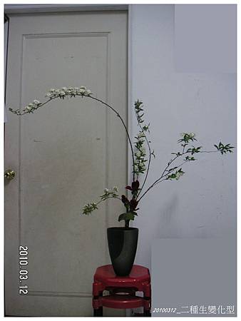 習花筆記 池坊 二種生變化型 小紫的夢想人生 痞客邦 習花筆記 池坊 二種生變化型 小紫的夢想人生 痞客邦