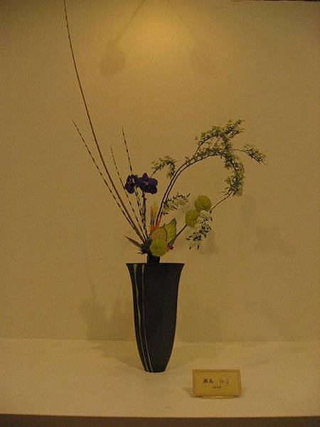 花博池坊展第一期 2 19 2 21 小紫的夢想人生 痞客邦 花博池坊展第一期 2 19 2 21 小紫的夢想人生 痞客邦