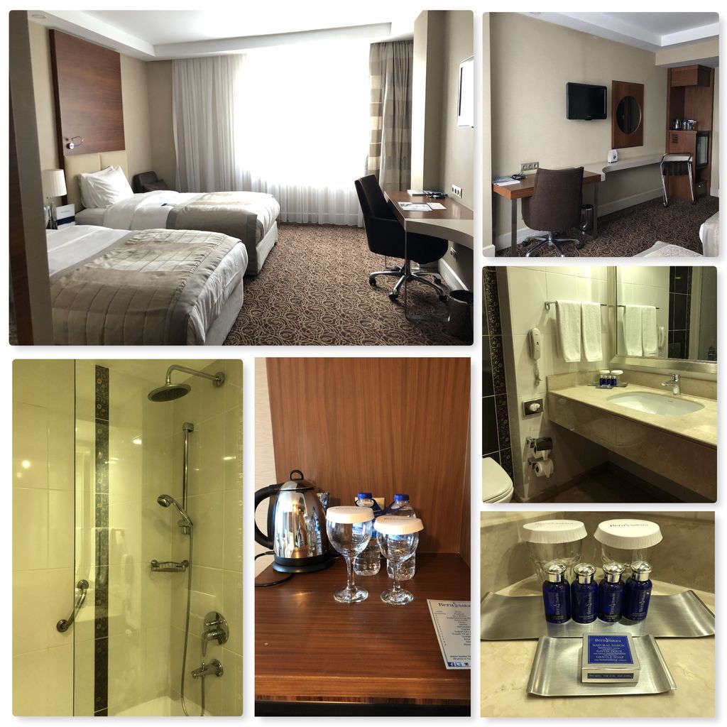 Bera Ankara hotel-3.jpg