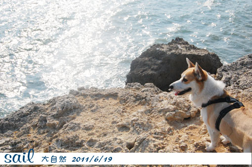 110619-大自然1.jpg 110619-大自然1.jpg