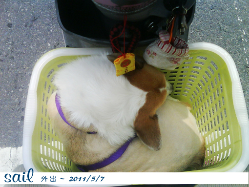 110507-外出藍1.jpg 110507-外出藍1.jpg