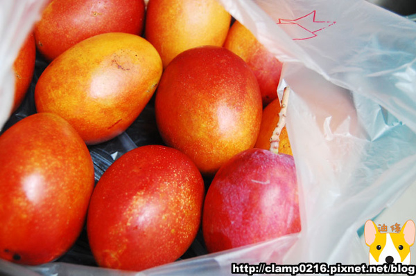 090614-芒果乾2.jpg 090614-芒果乾2.jpg