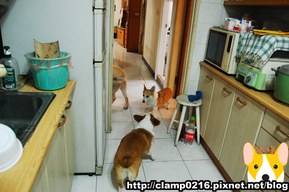 091231-跨年1.jpg 091231-跨年1.jpg