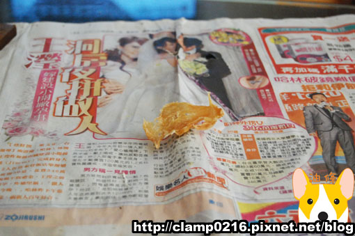 100509-貪吃1.jpg 100509-貪吃1.jpg
