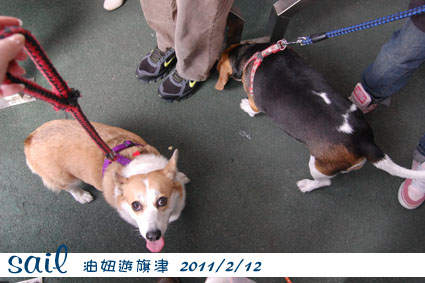 20100212-旗津1.jpg 20100212-旗津1.jpg