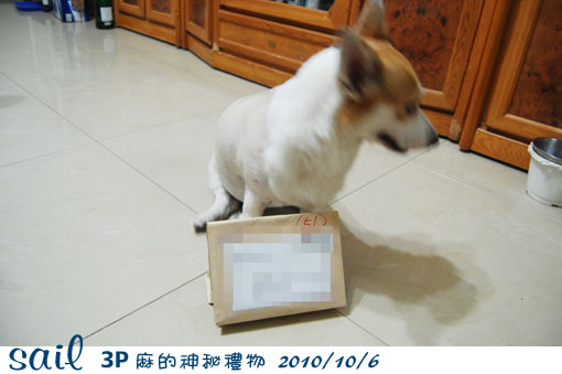 10106-3P麻禮物1.jpg 10106-3P麻禮物1.jpg