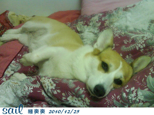 101225睡很爽1.jpg 101225睡很爽1.jpg