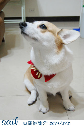 110202-除夕1.jpg 110202-除夕1.jpg
