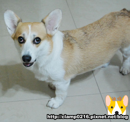 1006-口水1.jpg 1006-口水1.jpg