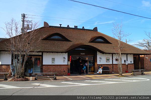 IMG_0500.JPG IMG_0500.JPG