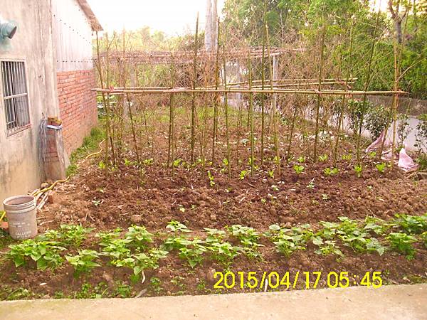 IMG_2898 IMG_2898