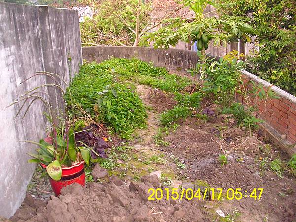 IMG_2904 IMG_2904