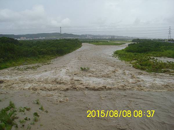 IMG_3943 IMG_3943
