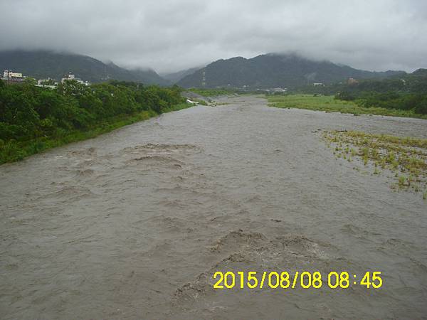 IMG_3952 IMG_3952