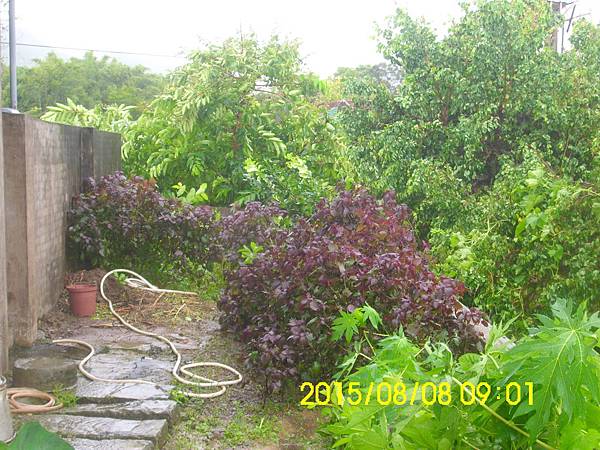 IMG_3958 IMG_3958