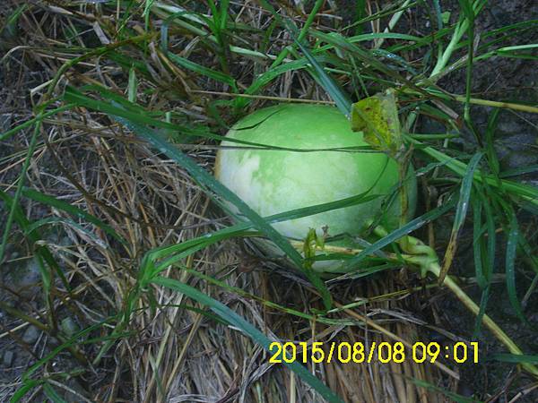 IMG_3959 IMG_3959