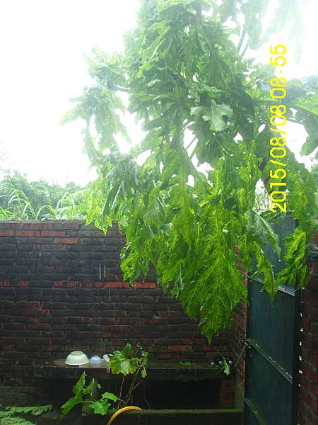 IMG_3956 IMG_3956