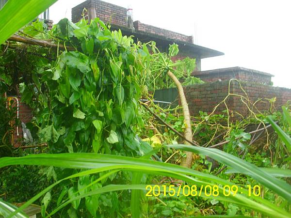 IMG_3973 IMG_3973