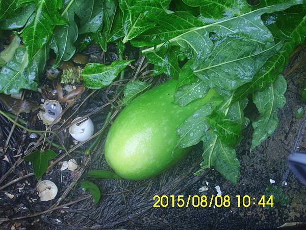IMG_3977 IMG_3977
