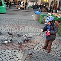 Kid feeding pigeons