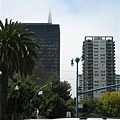 The tip of the Transamerica Pyramid in the FOG!