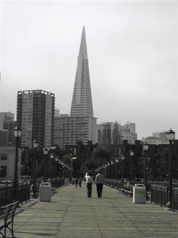 Transamerica Pyramid from Pier 7