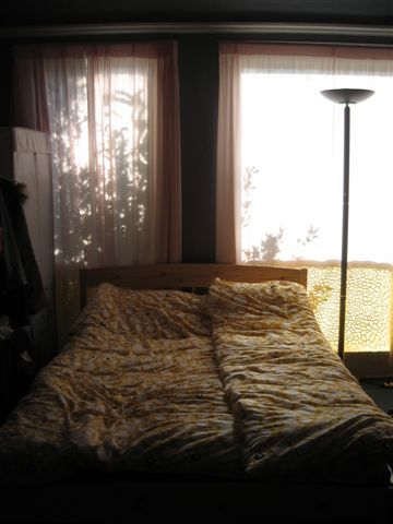 COZY bed & light