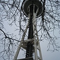 從枝椏間看Space Needle