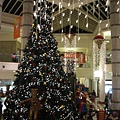 Stonestown裡的Christmas Tree