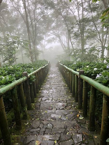 青山農場