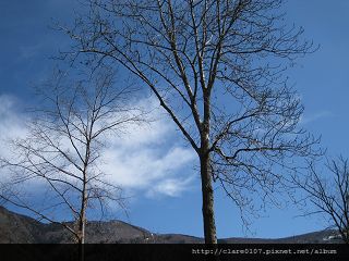 Bellinzona_022