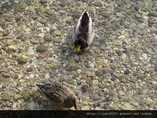 Sirmione_005