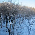 Hokkaido-2011-02-03-0014