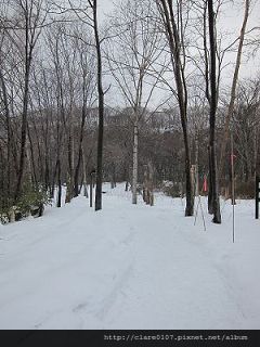 Hokkaido-2011-02-04-0071