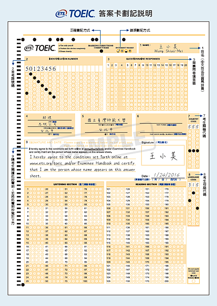 多益答案卡範例.png
