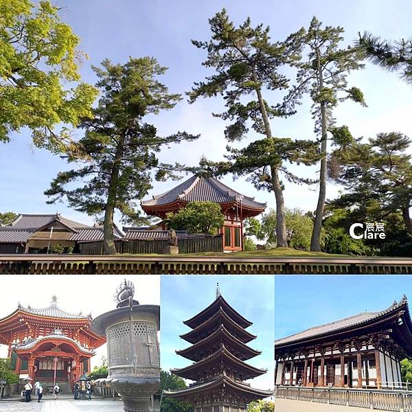 日本奈良5_興福寺周邊（國寶五重塔、東金堂）.jpg