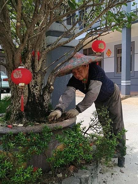 雲林古坑明心園民宿-主人爸爸整理庭園.jpg