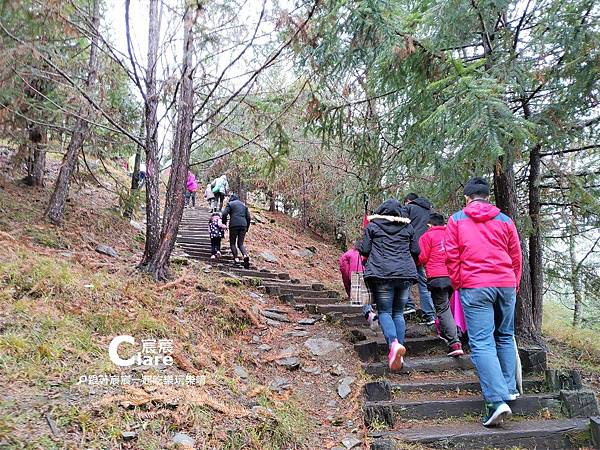 長青祠往天池步道景-【高雄旅遊】南橫公路台20線梅山口至天池段｜玉山國家公園.jpg