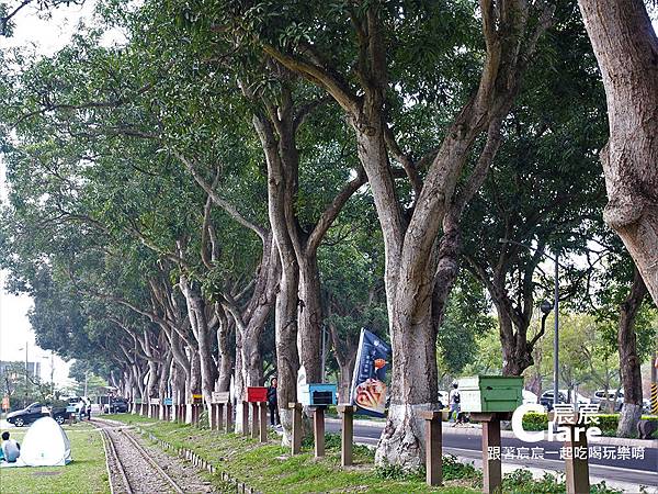 雲林古坑景點-蜜蜂故事館5.jpg