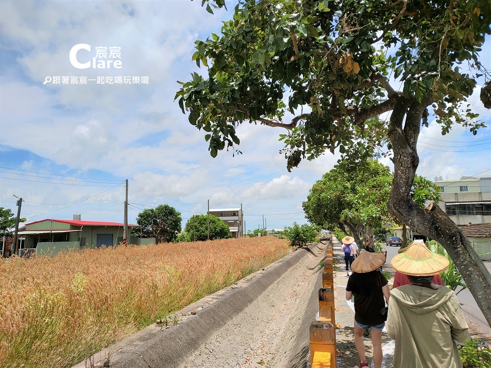 台南七股區-三股社區(三股旅歷)一日蚵農體驗-漁村走讀12.jpg